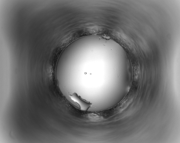 X0000096400279200801241207