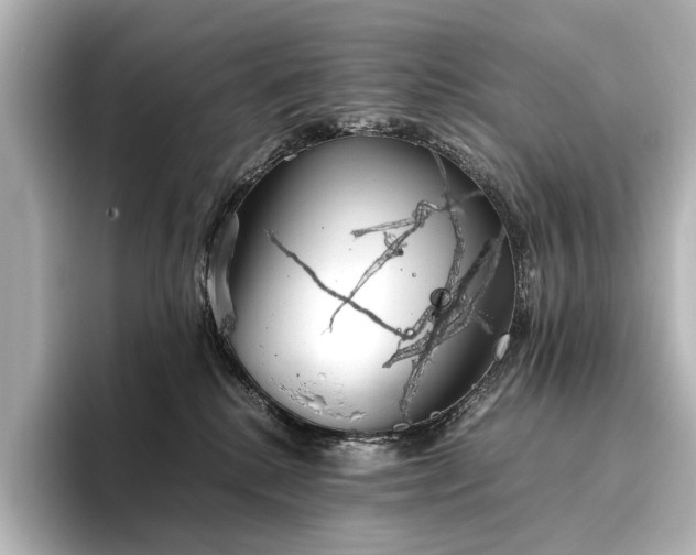 X0000096400280200801241207