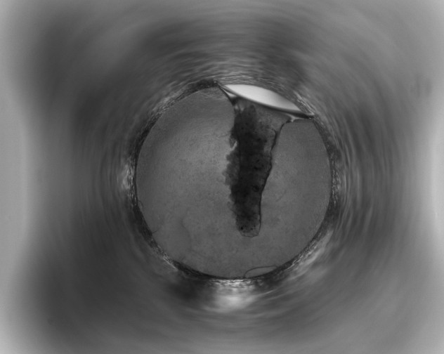 X0000096400281200801241207