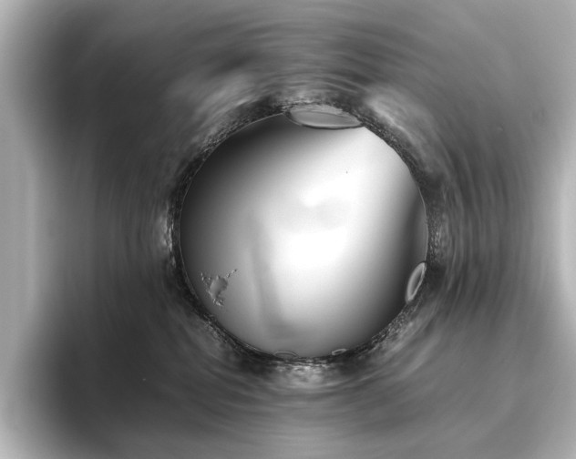 X0000096400282200801241207