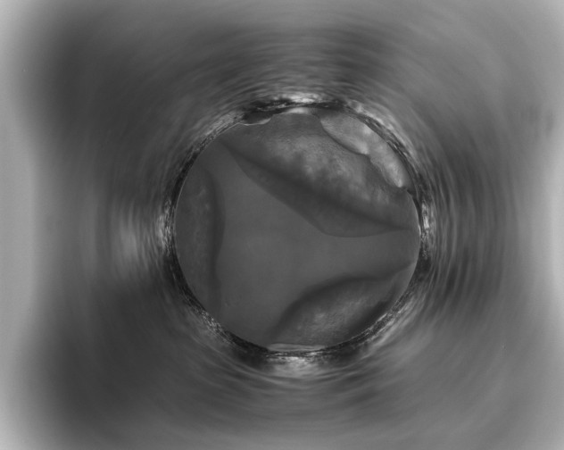 X0000096400285200801241207