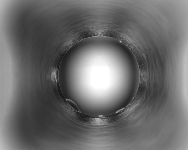 X0000096400286200801241207