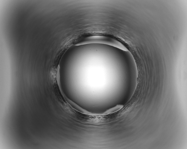 X0000096400288200801241207