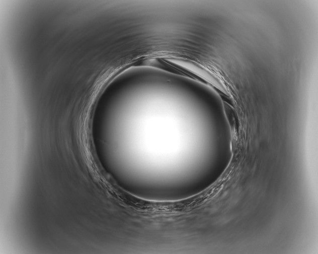 X0000096400289200801241206