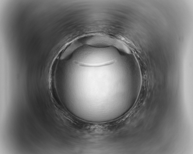 X0000096400290200801241206