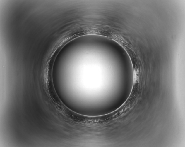 X0000096400291200801241206