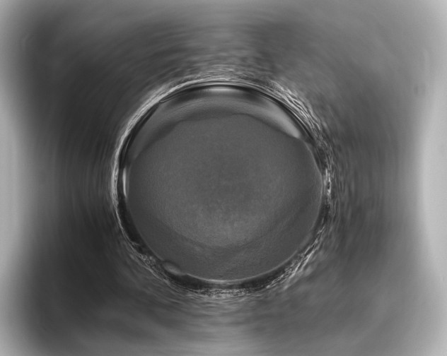 X0000096400292200801241206