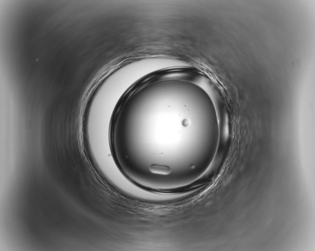 X0000096400293200801241206