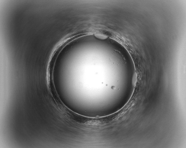 X0000096400294200801241206