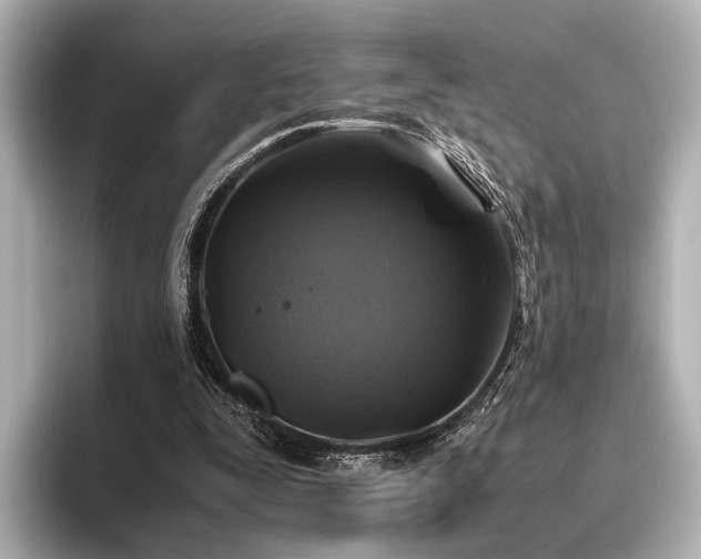 X0000096400295200801241206