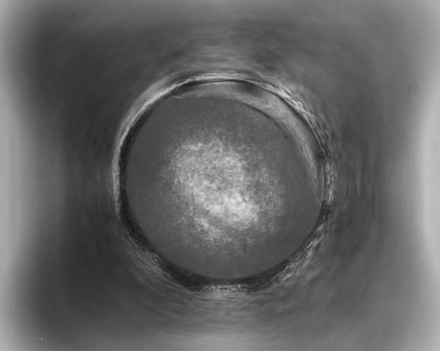 X0000096400296200801241206