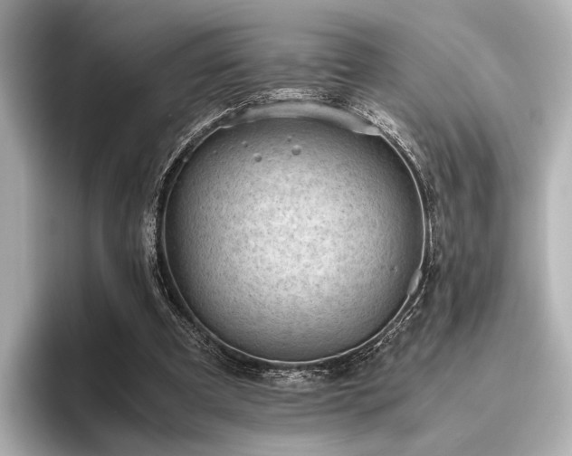 X0000096400297200801241206