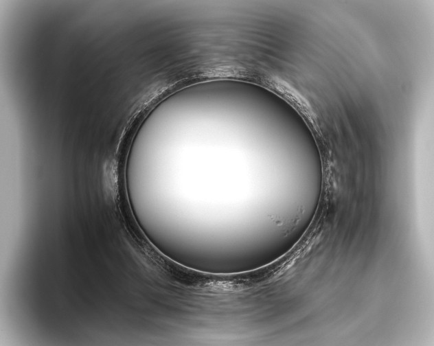 X0000096400298200801241206