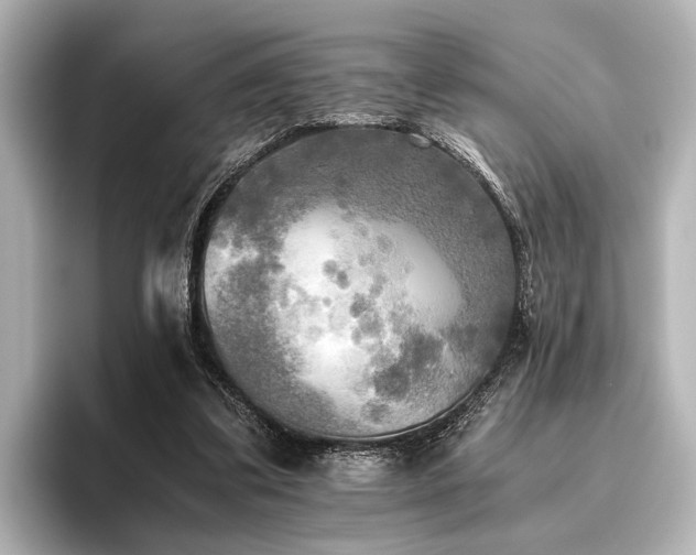 X0000096400299200801241206