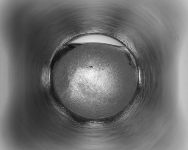 X0000096400300200801241206