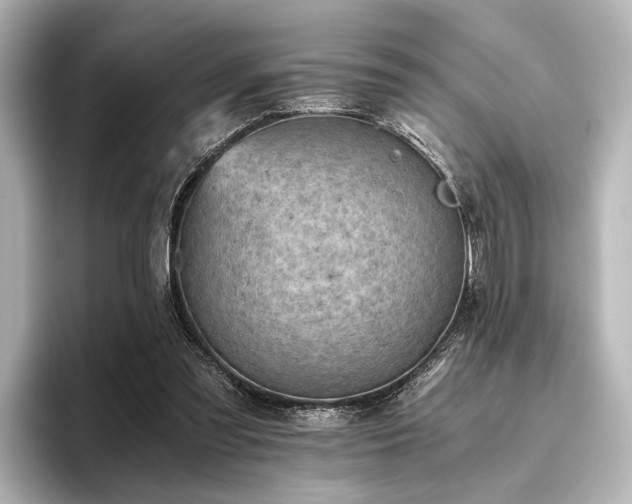 X0000096400301200801241206