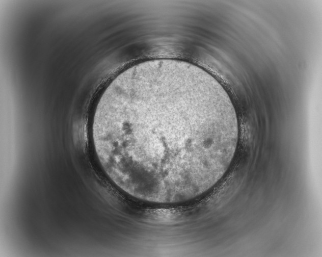 X0000096400302200801241206