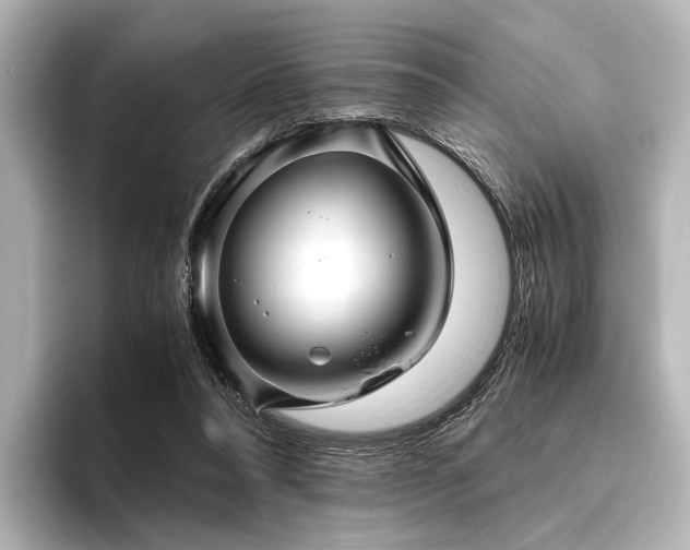 X0000096400304200801241206