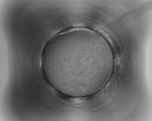 X0000096400305200801241206