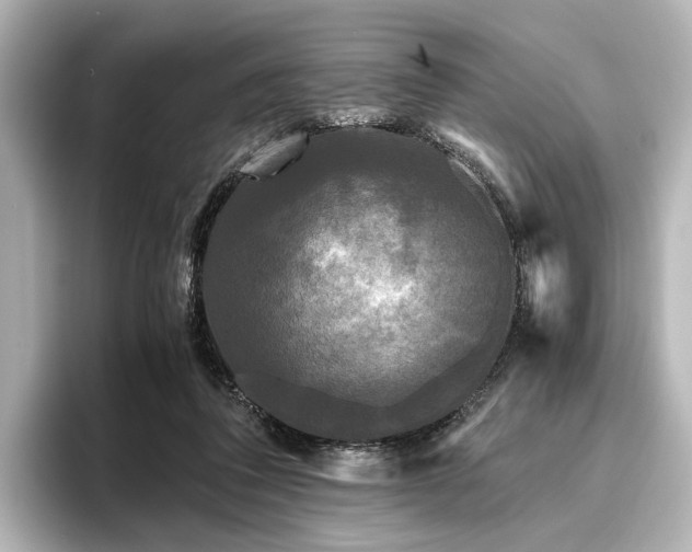 X0000096400308200801241206