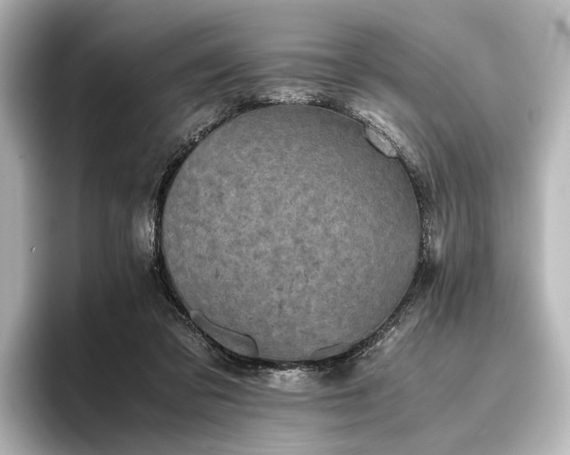 X0000096400309200801241206