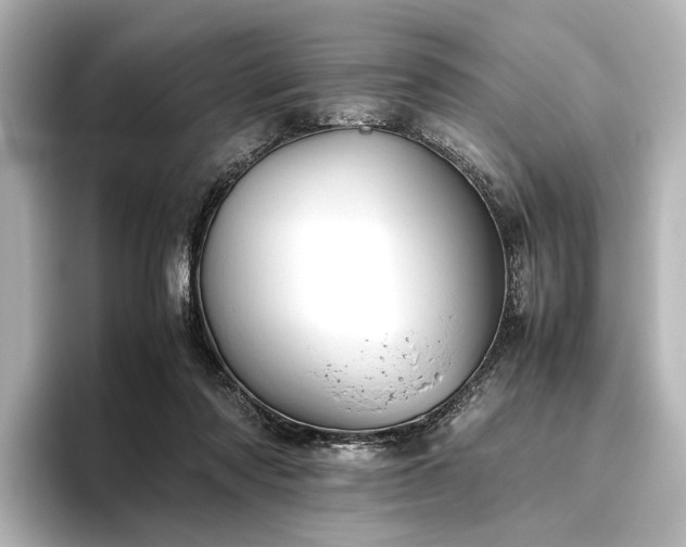 X0000096400310200801241206