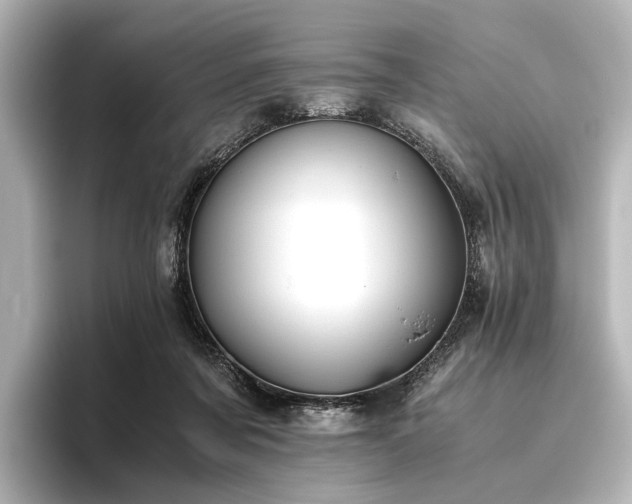 X0000096400311200801241206