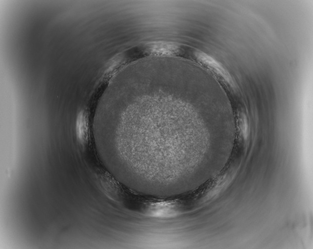 X0000096400312200801241206