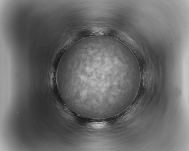 X0000096400314200801241206