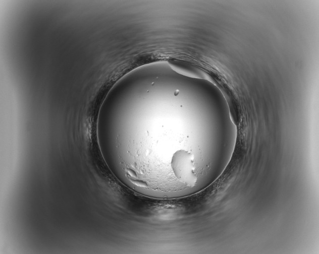 X0000096400315200801241206