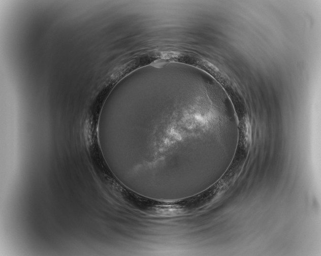 X0000096400316200801241206