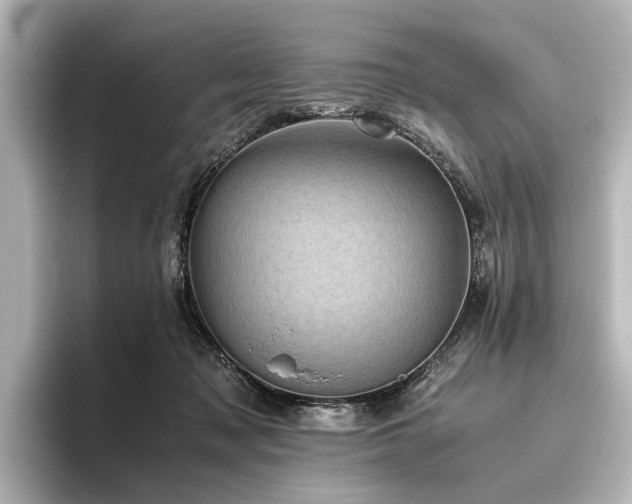 X0000096400317200801241206