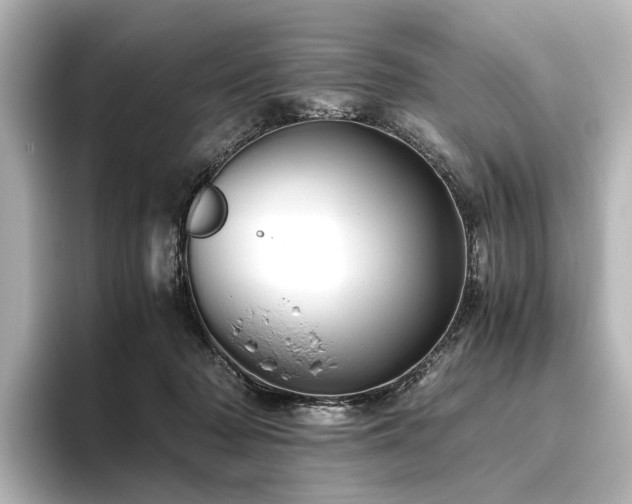 X0000096400318200801241206