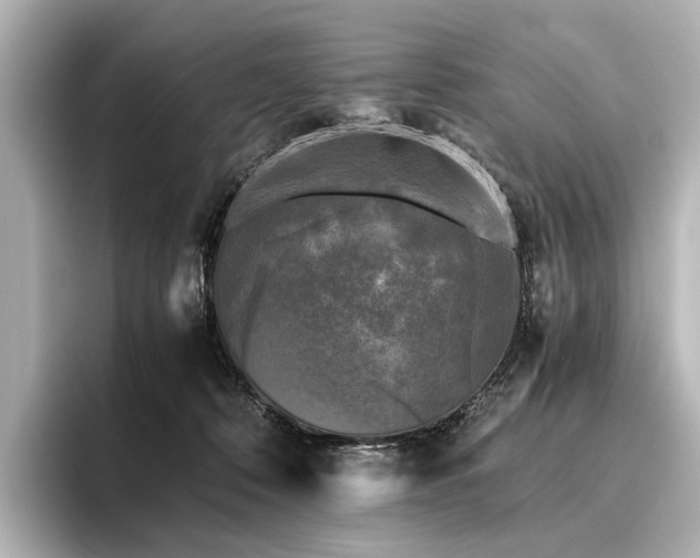 X0000096400320200801241206