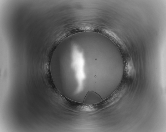 X0000096400322200801241206