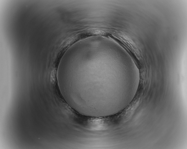 X0000096400325200801241206