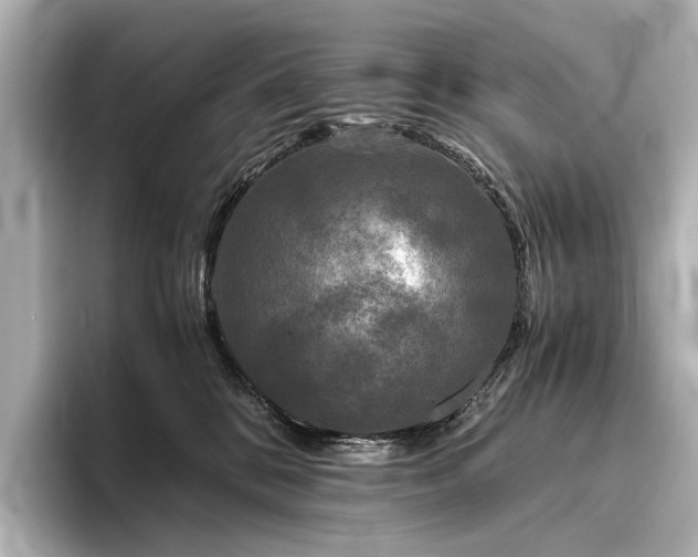 X0000096400328200801241206