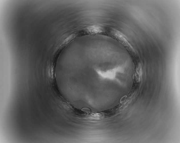 X0000096400330200801241206