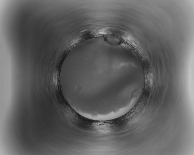 X0000096400331200801241206