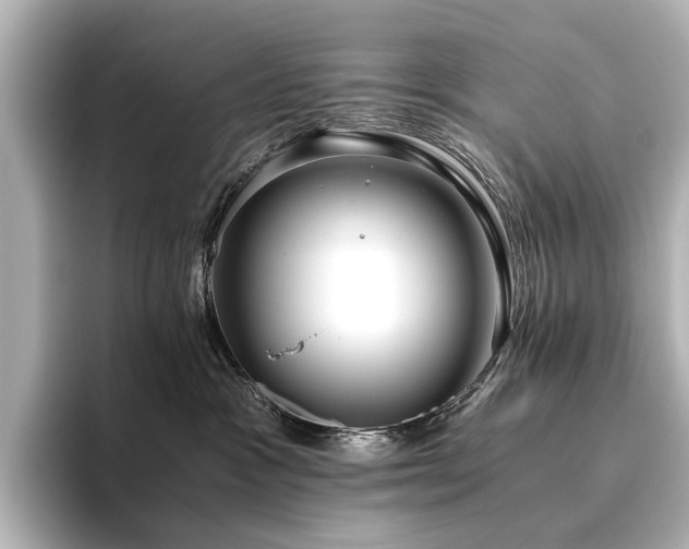 X0000096400333200801241206