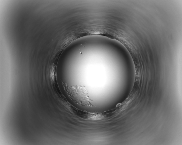 X0000096400334200801241206