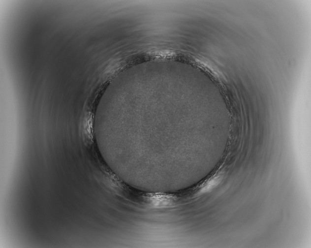 X0000096400336200801241206