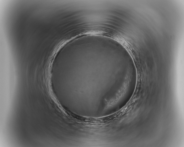 X0000096400337200801241205