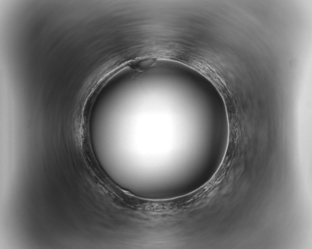 X0000096400338200801241205