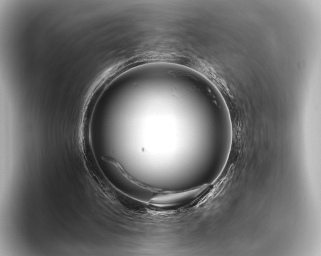 X0000096400340200801241205