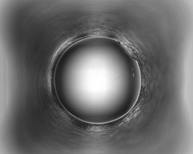 X0000096400341200801241205