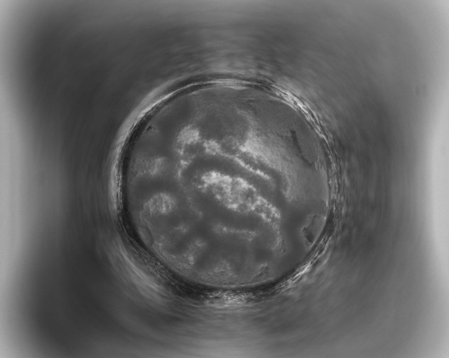 X0000096400343200801241205