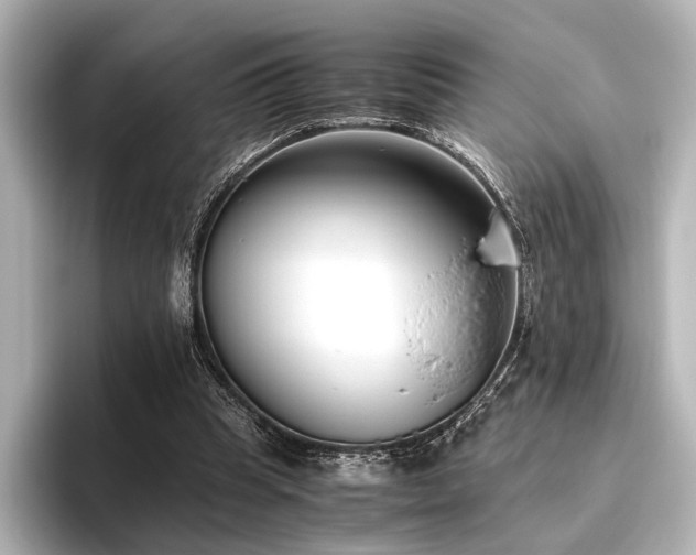 X0000096400345200801241205