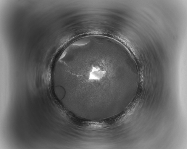 X0000096400347200801241205