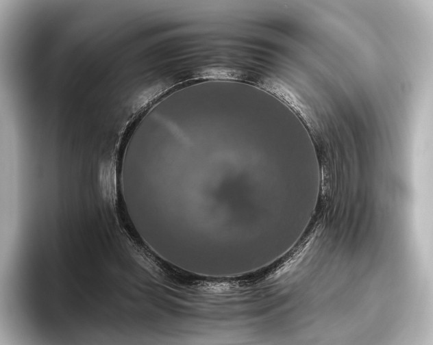 X0000096400349200801241205